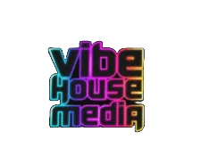 Vibe House Media logo — BR.LK client